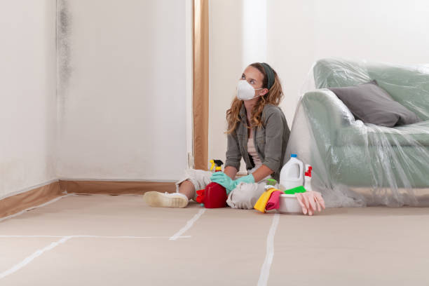 Reliable Mold Remediation contractor in Fairfield, PA by WQB Mold Removal